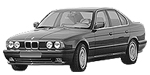 BMW E34 C254E Fault Code